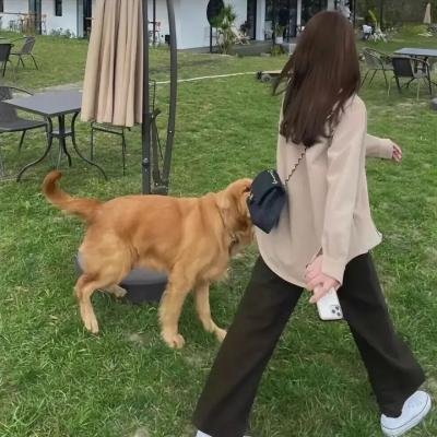 深红的金子 在线观看封面