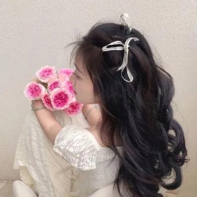 娘娘腔日记 在线观看封面