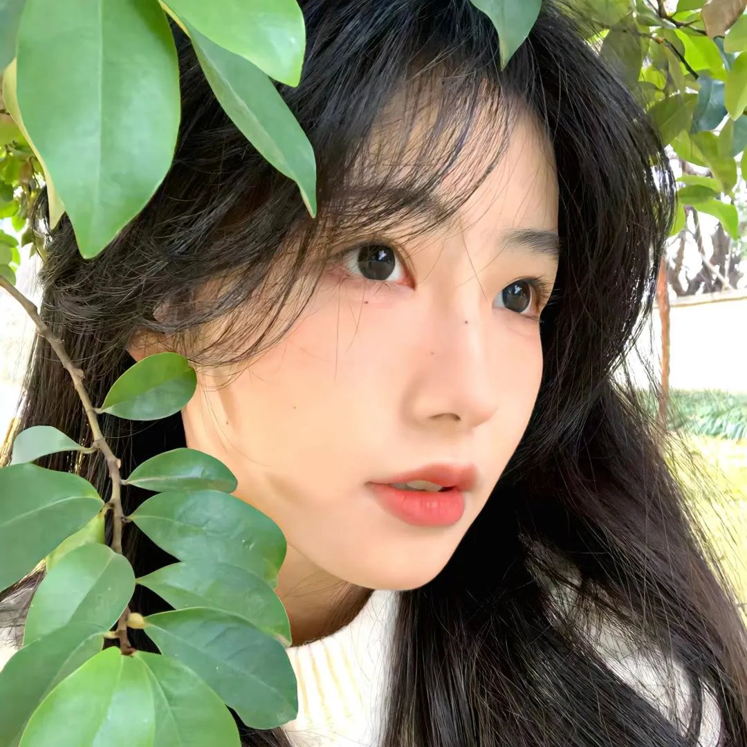 部落里的秘密 在线观看封面